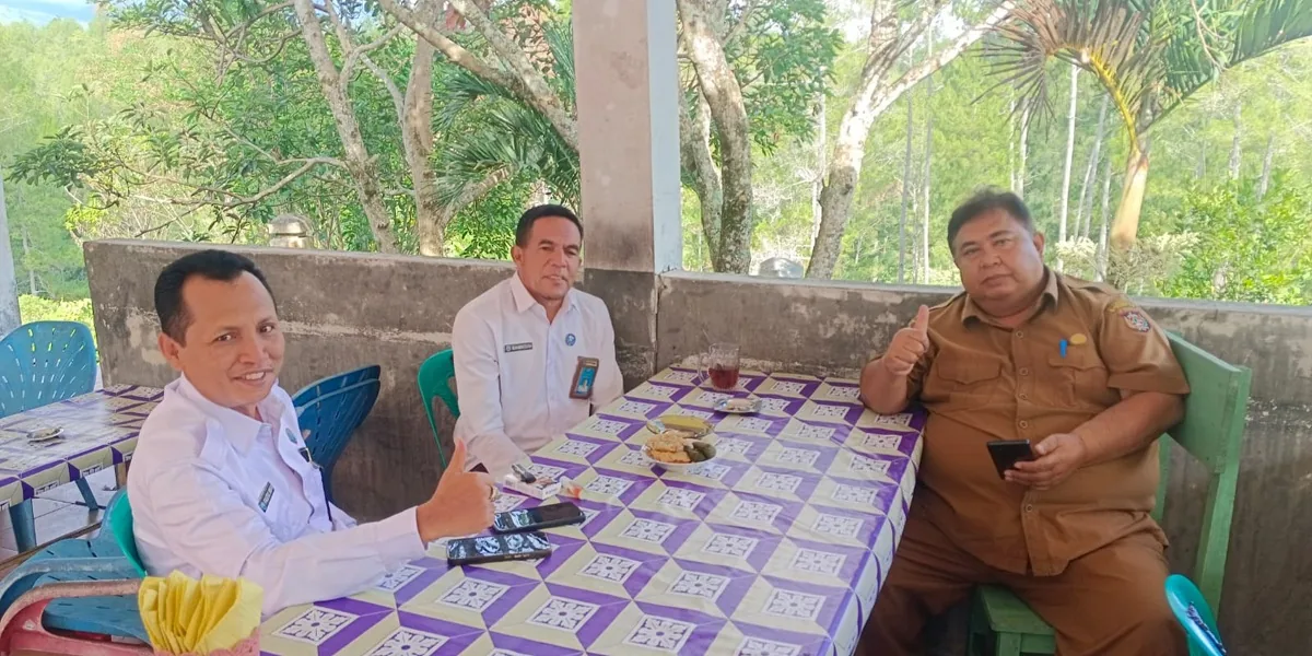 BNN Gayo Lues Bagikan 270 Ribu Bibit Kopi