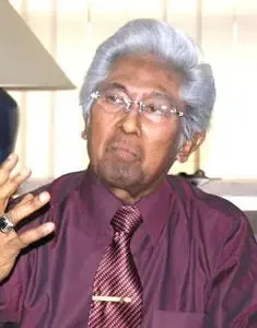 Prof. Dr. H. Adnan Buyung Nasution, S.H