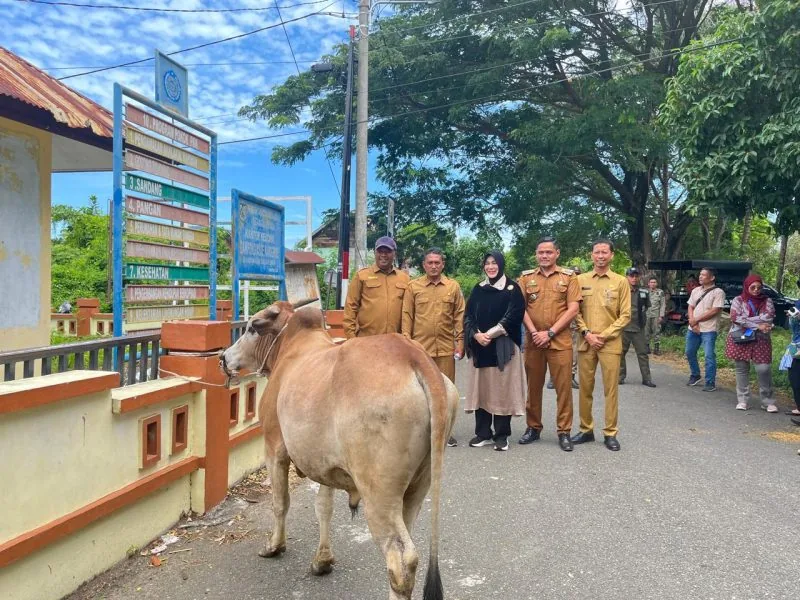 Sasar Kelompok Disabilitas hingga Mualaf, Begini Cara Wali Kota Banda Aceh Bagi Hewan Kurban