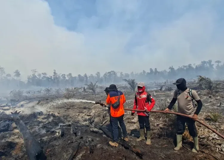 Karhutla Mengganas di Nagan Raya, 17 Hektare Lahan Hangus Terbakar dalam Dua Hari