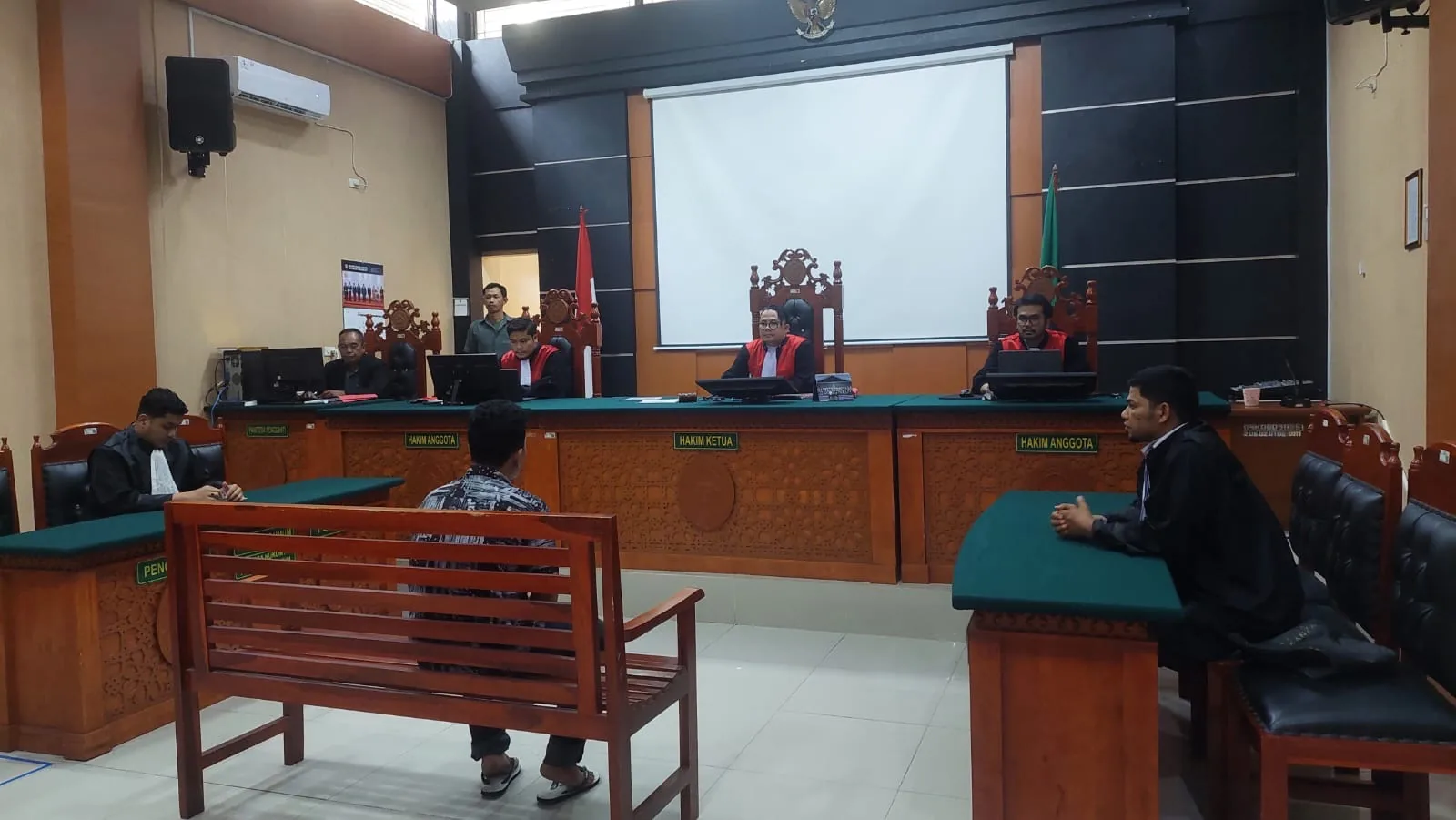 PN Kutacane Vonis 1 Tahun Penjara Kasus Harimau Sumatera