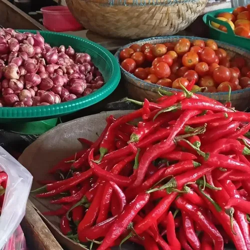 Sepekan Jelang Idul Adha, Harga Cabai di Tapaktuan Melonjak hingga Rp45 Ribu