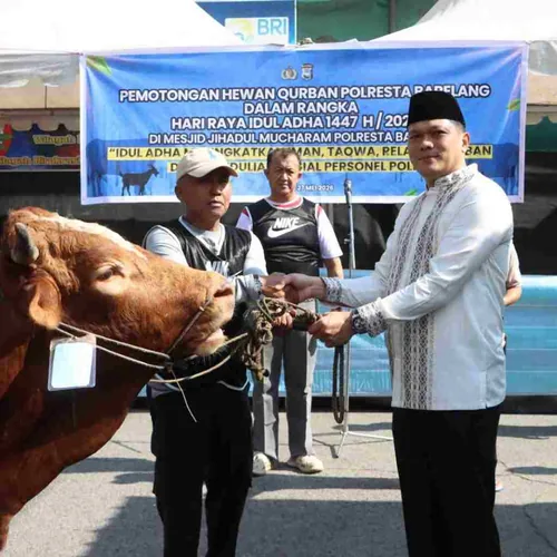 Idul Adha 1447 H, Polresta Barelang Sembelih 42 Ekor Hewan Kurban untuk Warga Batam