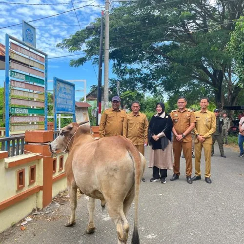 Sasar Kelompok Disabilitas hingga Mualaf, Begini Cara Wali Kota Banda Aceh Bagi Hewan Kurban