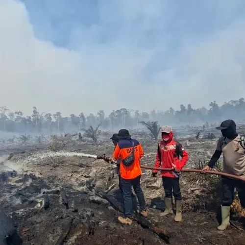 Karhutla Mengganas di Nagan Raya, 17 Hektare Lahan Hangus Terbakar dalam Dua Hari