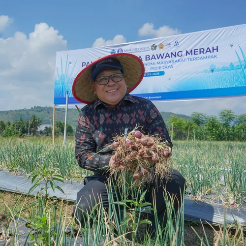 Panen Perdana Bawang Merah Digelar di Lahan Pascabanjir Pidie Jaya
